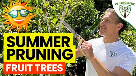 How To (& Why To) PRUNING FRUIT TREES In Summer!? ☀️ - YouTube