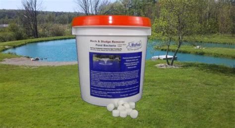 Why wait, start reducing Muck Now with our easy to use pellets.