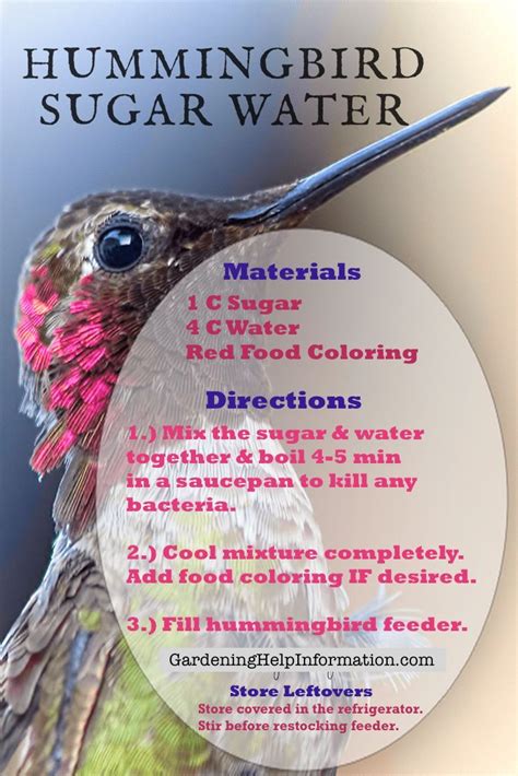 Hummingbird Feeder Recipe Sugar | mandyscharms