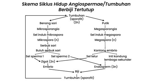 Jelaskan dengan benar dan tepat reproduksi dan sik...