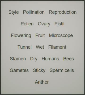 Stamen of a Flower | Definition, Parts & Function - Lesson | Study.com