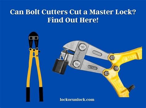 Can Bolt Cutters Cut a Master Lock? Find Out Here! - Lock or Unlock