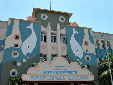 Taraporewala Aquarium in Mumbai - indiapalette.com