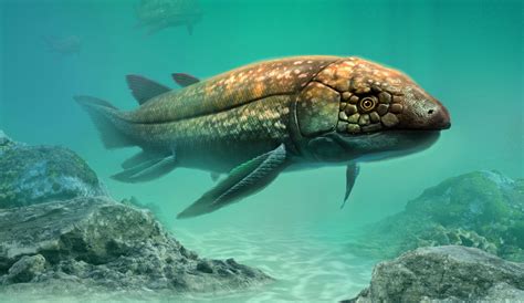 Lungfish provide deeper insight into brain evolution - Earth.com