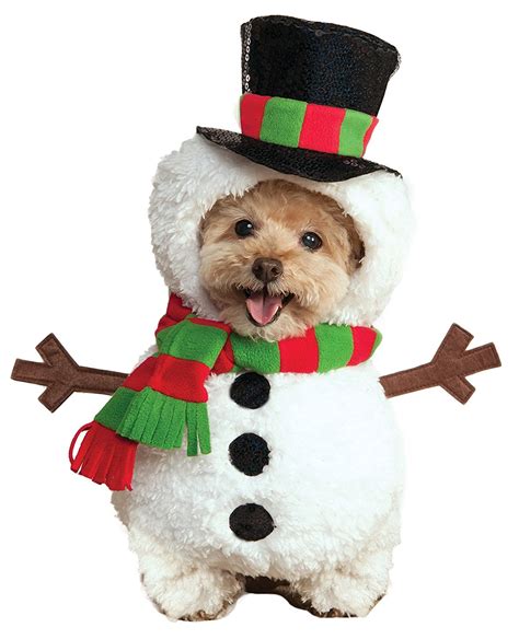 11 Best Christmas Dog Outfits to Get Your Dog in the Holiday Spirit ...