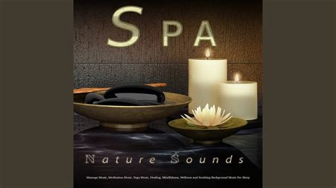 Ambient Guitar Spa Music - YouTube