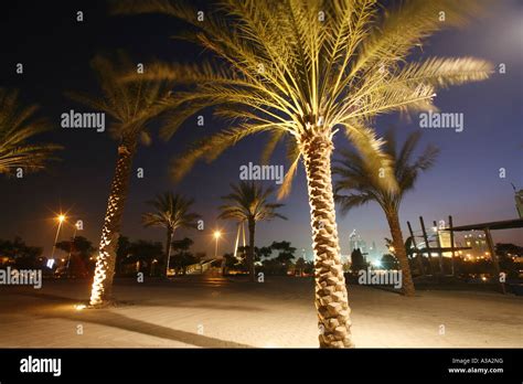 Zabeel park in Dubai Stock Photo - Alamy