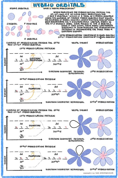 Orbital Hybridization - Complex Hybrid Hybridization Patters with d orbitals - Organic Chemistry ...