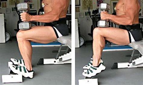 Dumbbell Seated Calf Raise • Bodybuilding Wizard