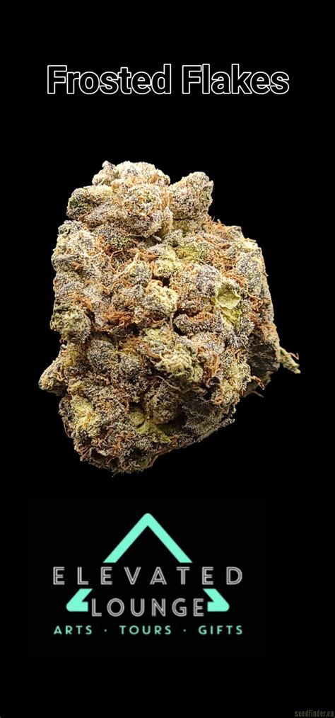 Galería de Variedades: Frosted Flakes (Secret Society Seed Co) PIC #07022333070023703 by ...