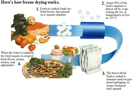 Freeze Drying—How It Works And It's Benefits