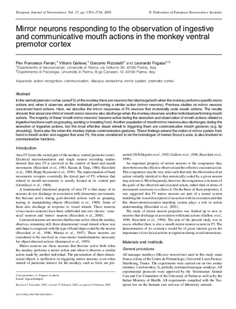 (PDF) Mirror neurons responding to the observation of ingestive and ...