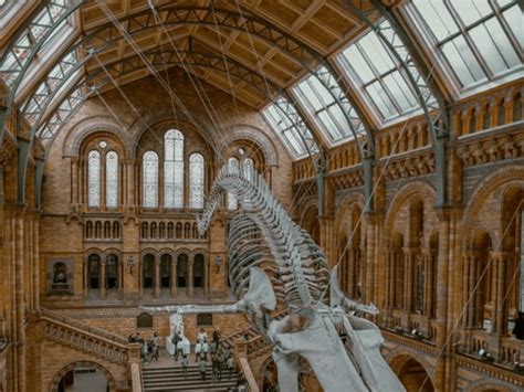 10 Of The Best London Museums To Visit - Society19 UK