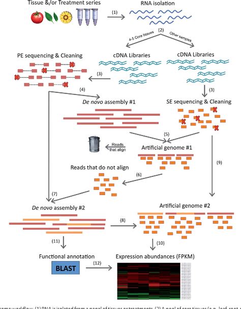 Figure 1 from Bioinformatics challenges in de novo transcriptome assembly using short read ...