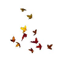 Falling leaves gif transparent 2 » GIF Images Download