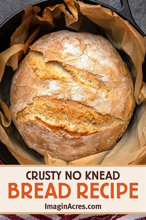 crusty no knead bread in a cast iron skillet with text overlay