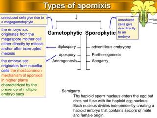 Apomixis in plants | PPT