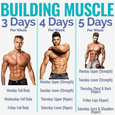 8 Powerful Muscle Building Gym Training Splits | Fitness Workouts & Exercises