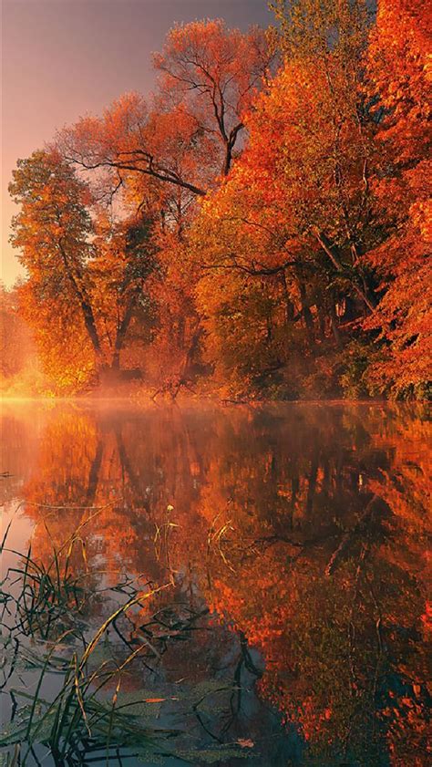 Best Autumn iPhone HD Wallpapers - iLikeWallpaper