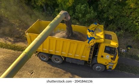 3,679 Sunflower Harvest Photos Stock Photos, Images & Photography ...