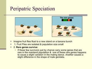 Models Of Speciation | PPT