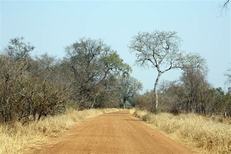 Kruger National Park, South Africa | flowcomm | Flickr