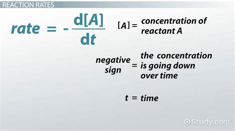 First Order Reaction Equation Example - Tessshebaylo