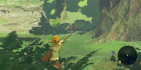 Breath Of The Wild: 10 Tips For Beating The Master Trials