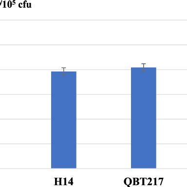 Comparing the protein yield per spore (ng/10 5 cfu) of Qatari Bti... | Download Scientific Diagram