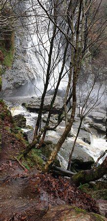 Powerscourt Waterfall (Enniskerry) - 2020 All You Need to Know BEFORE ...