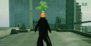 gif :: carrot matrix :: sandbox - JoyReactor