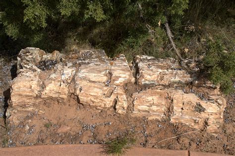 Escalante Petrified Forest State Park - Wikipedia