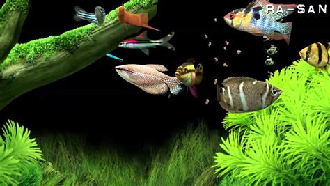 Dream Aquarium screensaver [HD] - YouTube