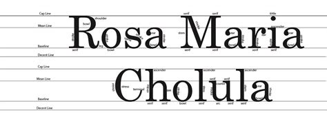 Font Anatomy | rosycholula