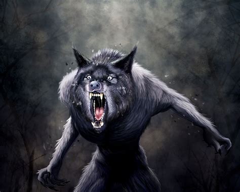 A nice werewolf picture | Werewolf art, Werewolf, Mythical creatures