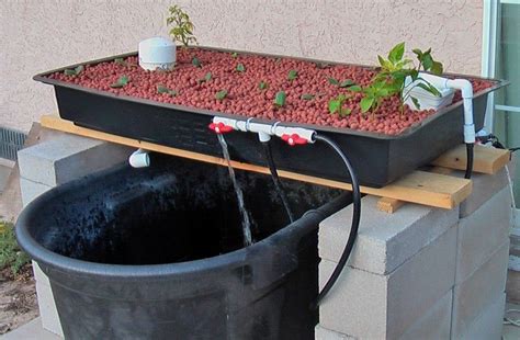 DIY Aquaponics Projects For Beginners | Aquaponics diy, Aquaponics, Backyard aquaponics