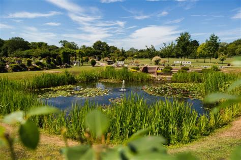 £999.00 to get cremated at Markeaton Crematorium | 29rd Most Expensive crematorium in the UK