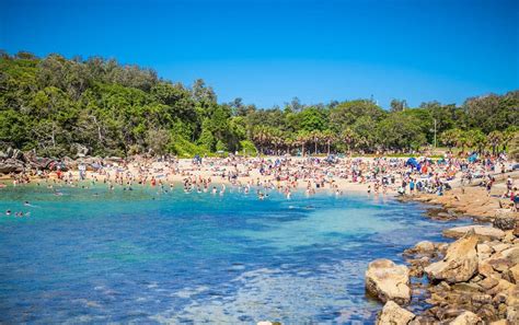 Beach weather in Shelly Beach, Sydney, Australia in December