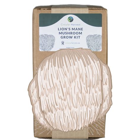 Lion's Mane Mushroom Grow Kit For Sale – Circular Harvest