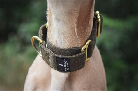 Green Martingale Whippet Collar | Greyhound Italian Lurcher