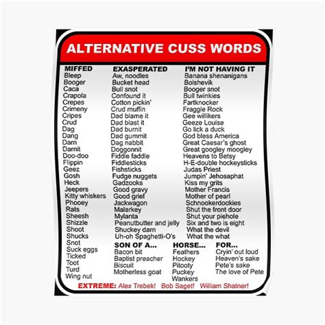 "Alternative cuss words" Poster by GentryRacing | Redbubble