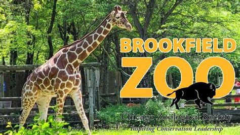 Brookfield Zoo Tour & Review with The Legend - YouTube