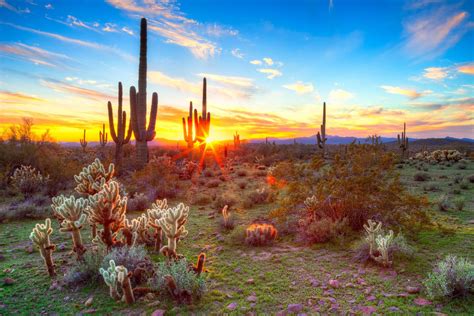 Az sunset in summer #Summer #Arizona #hitrentals | Arizona sunset, Beautiful places in america ...