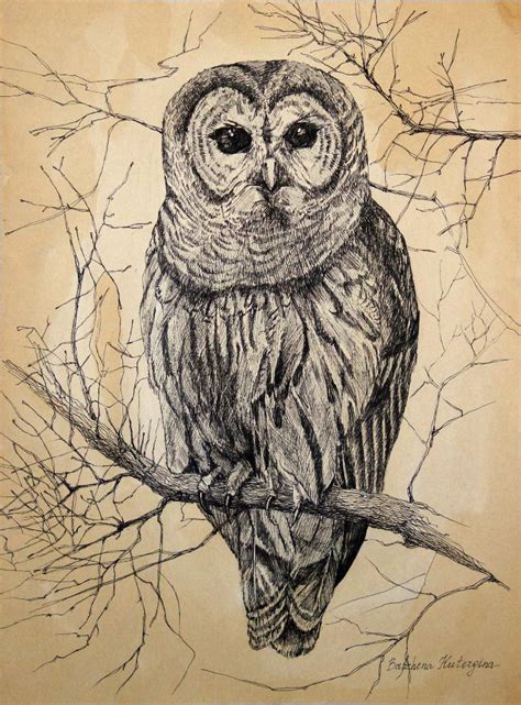 Owl Drawing at GetDrawings | Free download