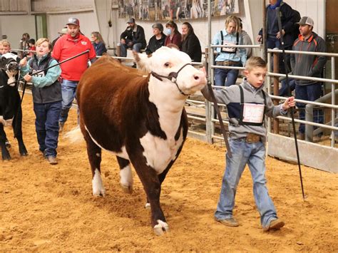 PHOTOS: 2021 Erath County Jr. Livestock Show – Beef Cattle – The Flash Today || Erath County