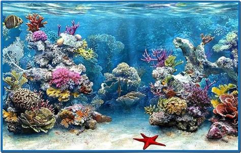 Fish aquarium 3d screensaver full version - Download free