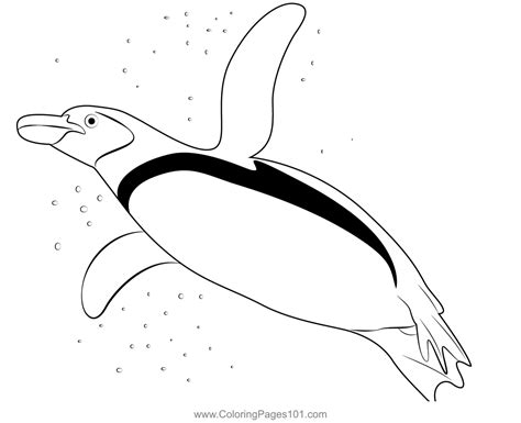 Gentoo Penguin Swimming Coloring Page for Kids - Free Penguins ...