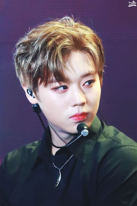 WANNA ONE | park jihoon | パクジフン, ジフン, 茶髪