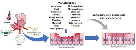 Systematic Analysis of Monoterpenes: Advances and Challenges in the ...