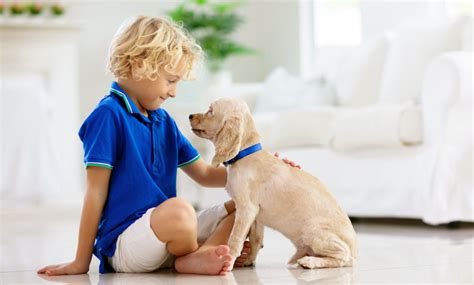 13 Ways to Teach Kids How to Interact with Dogs Safely!